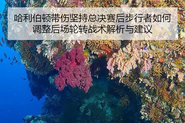 ha-li-bo-dun-dai-shang-jian-chi-zong-jue-sai-hou-bu-xing-zhe-ru-he-tiao-zheng-hou-chang-lun-zhuan-zhan-shu-jie-xi-yu-2-753.jpg